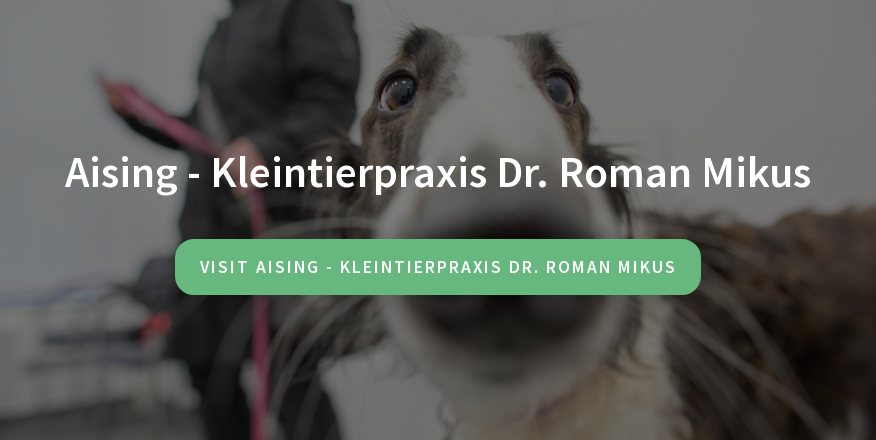 Kleintierpraxis Dr. Roman Mikus