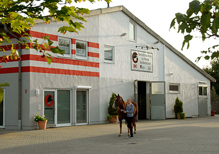 Pferdeklinik Großwallstadt - Dr. Holger Fischer
