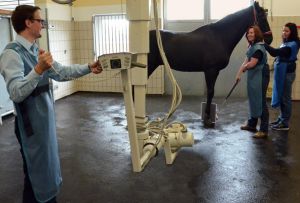 Pferdeklinik Großwallstadt - Dr. Holger Fischer