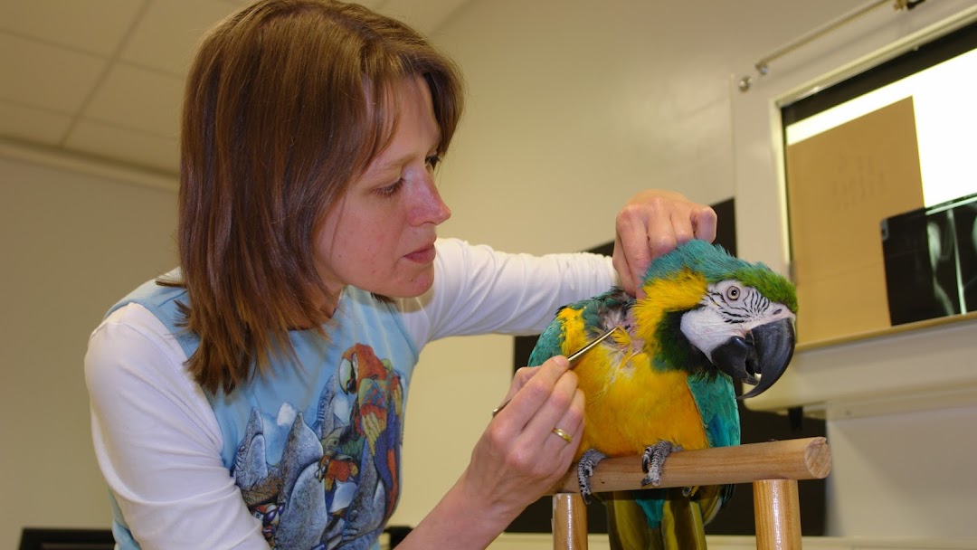 Tierärztliche Fachpraxis für Vögel & Exoten Dr. med. vet. Heike Reball