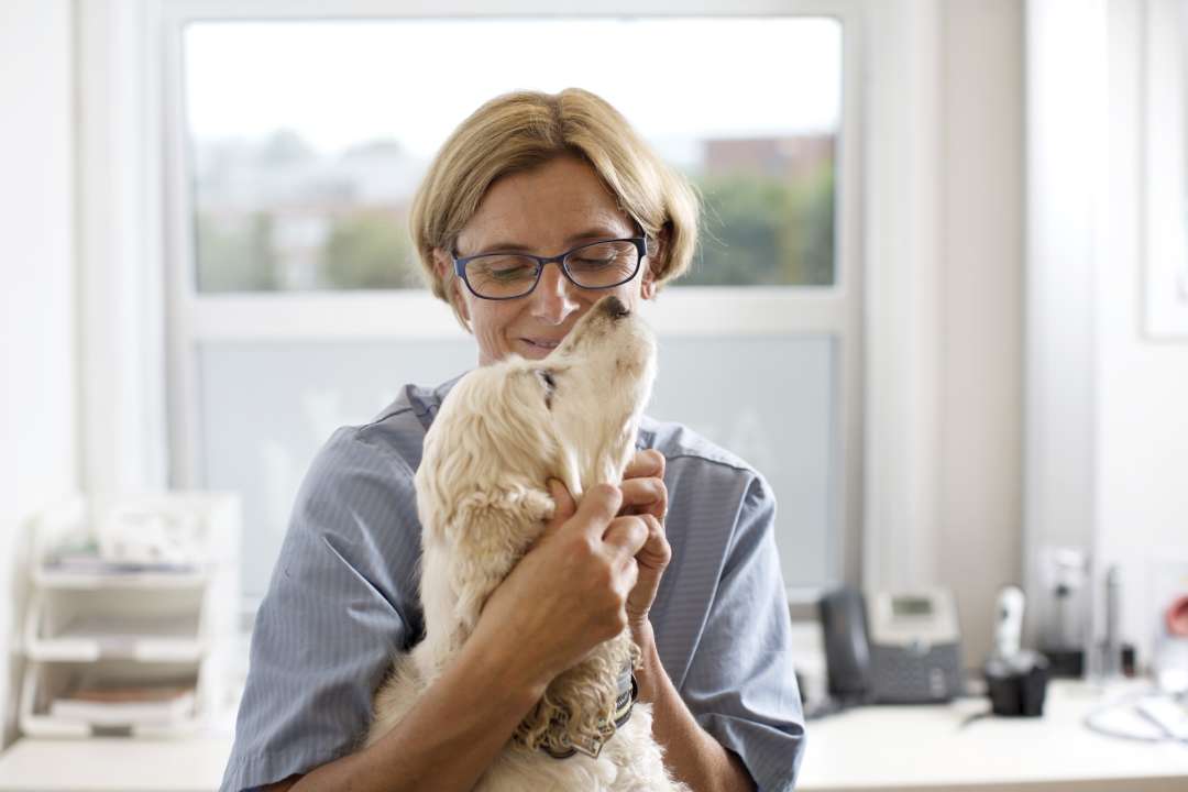 AniCura Tierklinik Bamberg