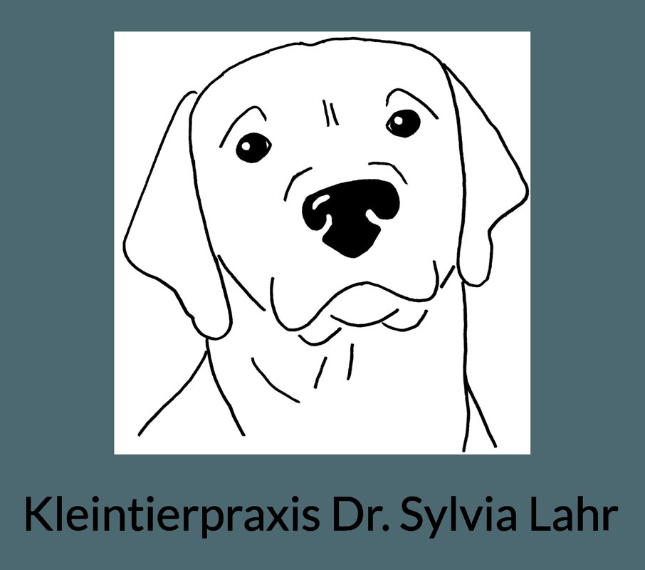Lahr Sylvia Dr.