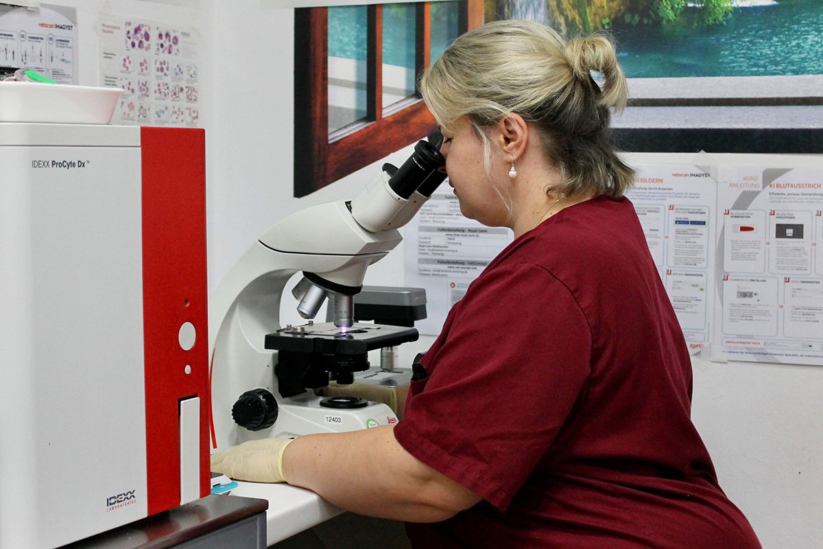 Tierklinik Ismaning