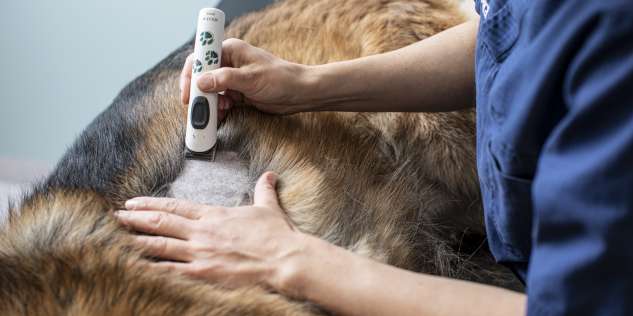 AniCura Tierklinik Haar