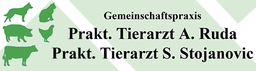 Tierärztliche Gemeinschaftspraxis Stojanovic & Ruda