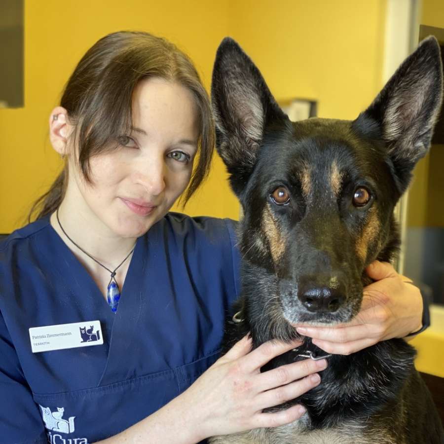 Dr.med.vet. Klaus Zimmermann Tierarzt