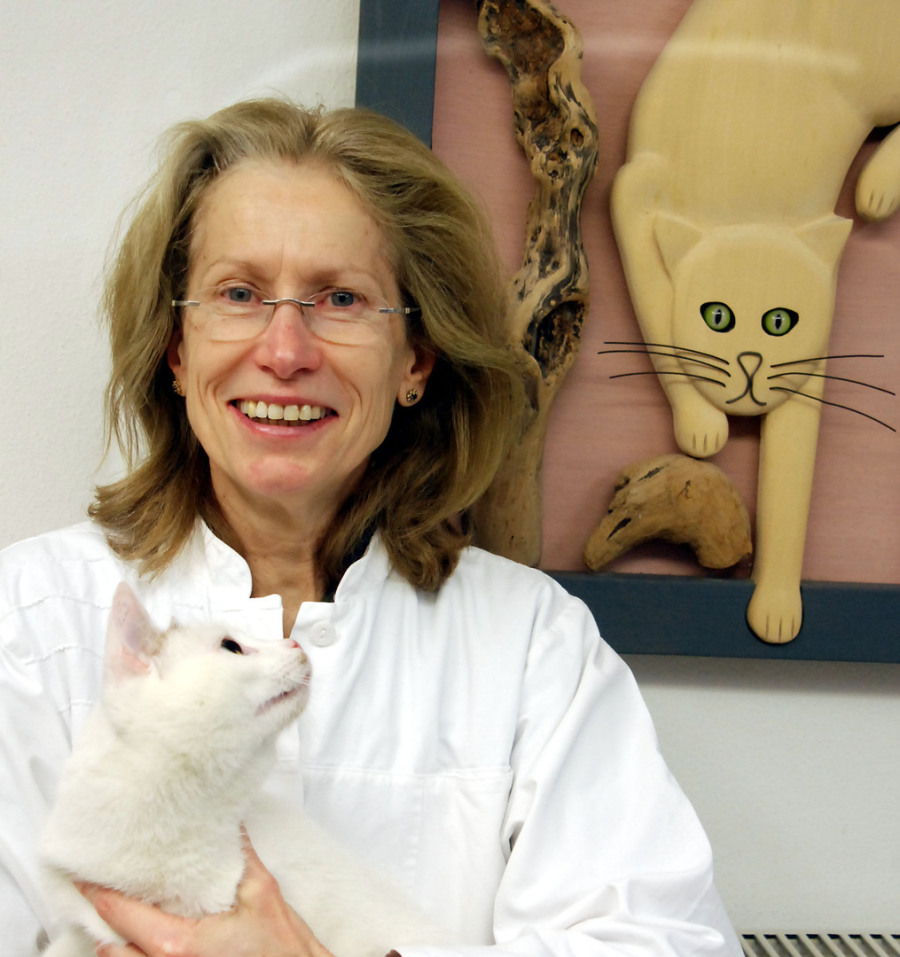 Tierarztpraxis Steingaden Dr. Dagmar Moder