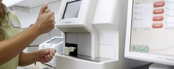 AniCura Kleintierspezialisten Kempten