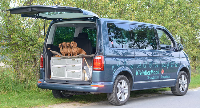 Mobile Tierarztpraxis Stein | Kleintier-Mobil | Tierarzt