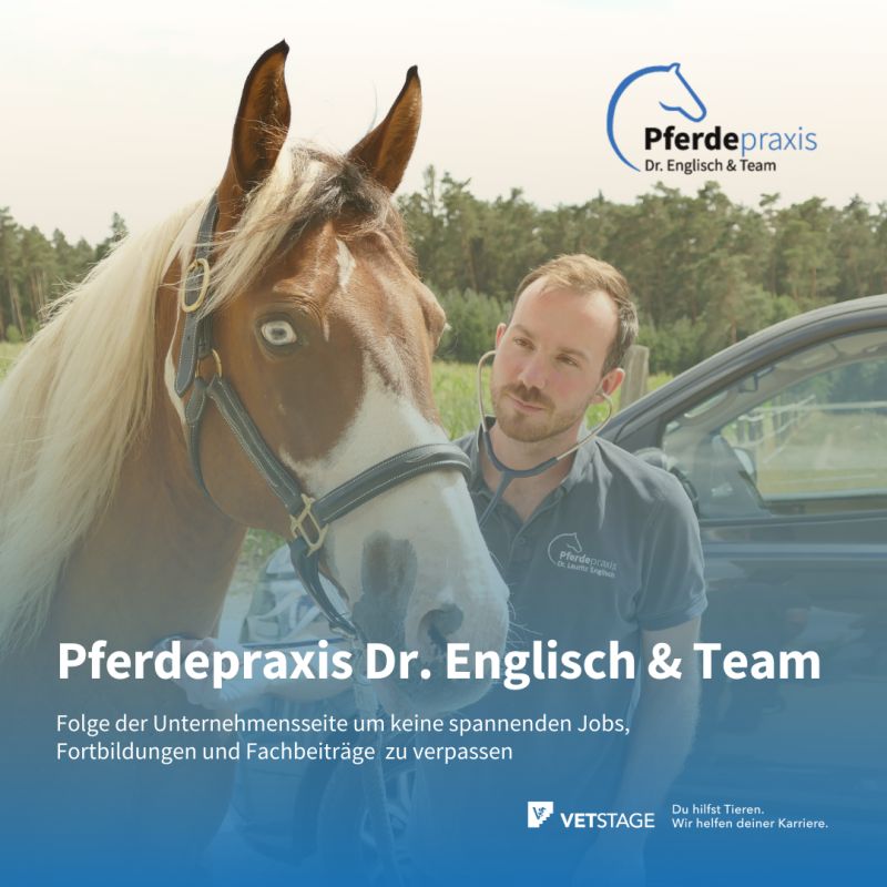 Pferdepraxis Dr. Englisch & Team