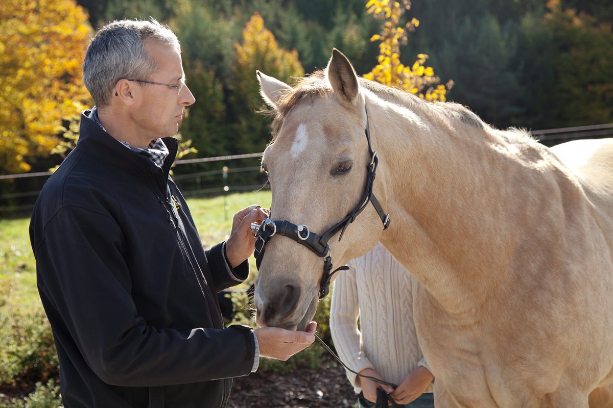 Ilztal Vet Tierärztliche Praxis für Groß und Kleintiere