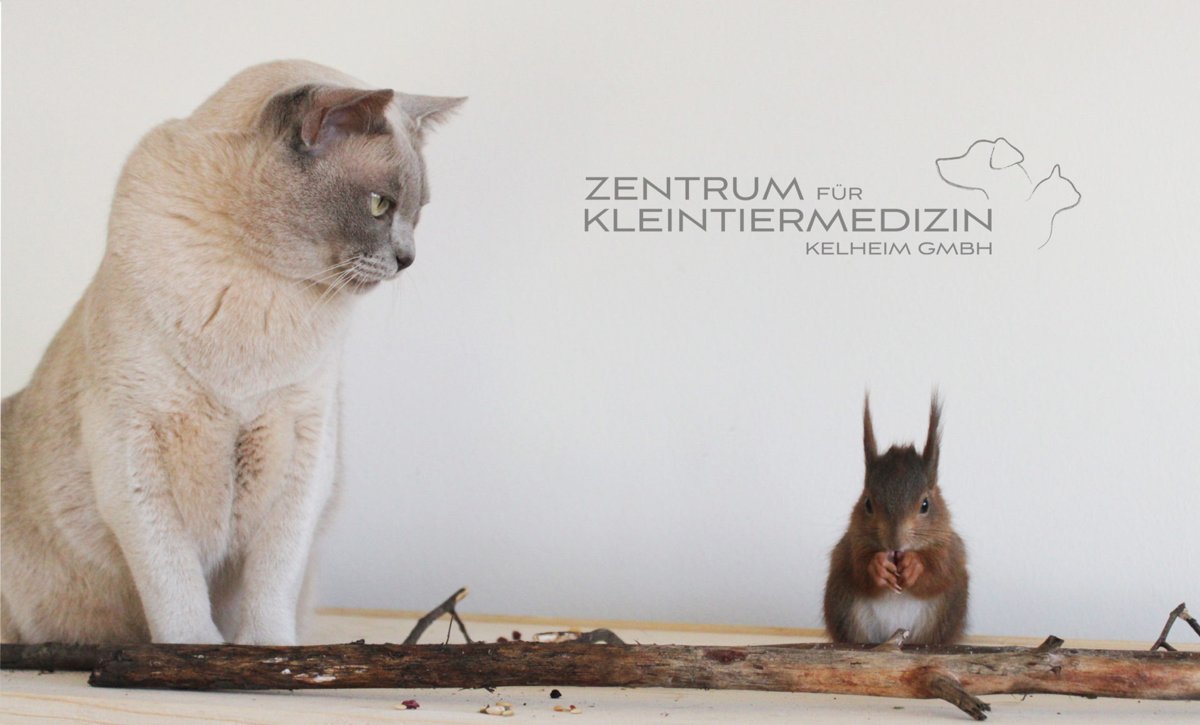 Zentrum für Tiermedizin Kelheim