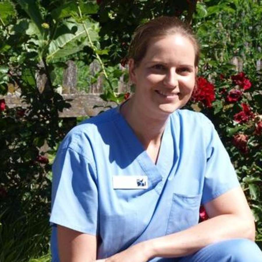 AniCura Kleintierklinik Babenhausen GmbH | 24h Notdienst