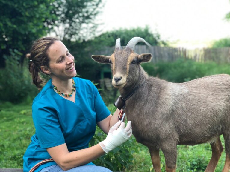 Mobile Tierärztin Marie Dressler