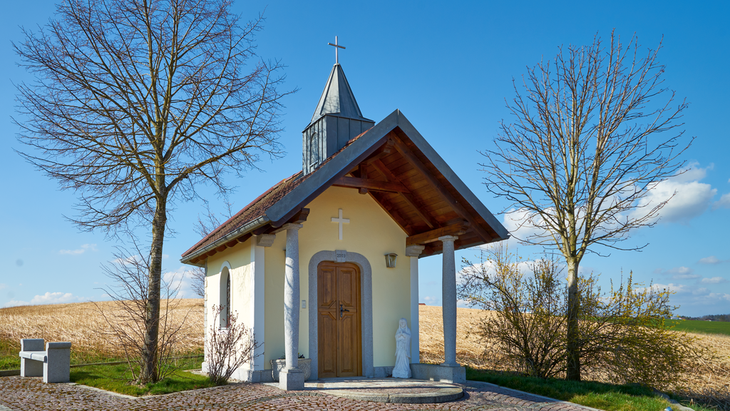 Tierärztliche Klinik Kurzeichet