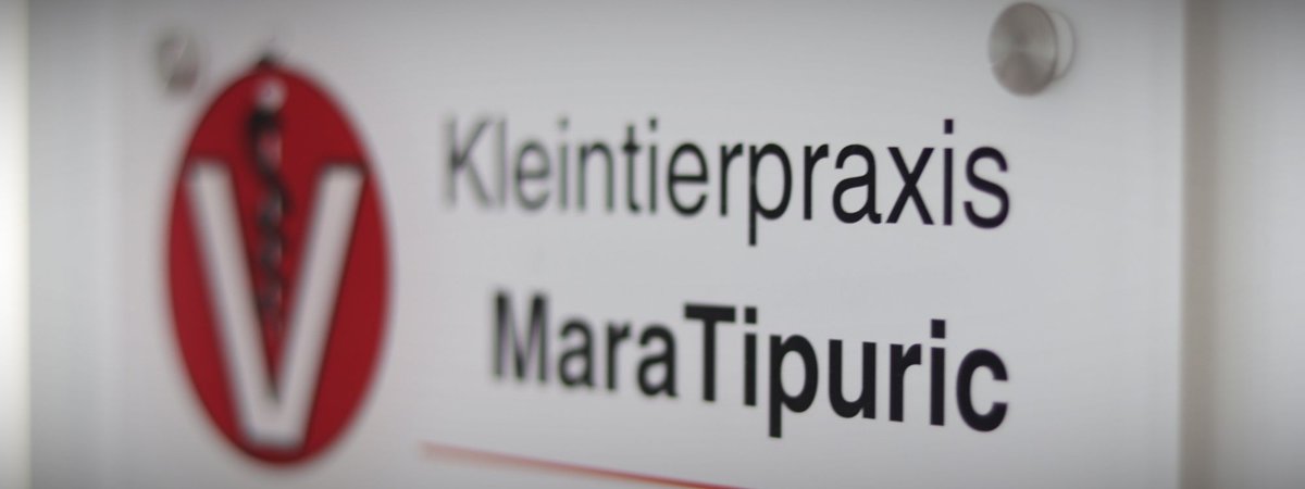 Tierarzt Mara Tipuric,Dr.vet.med