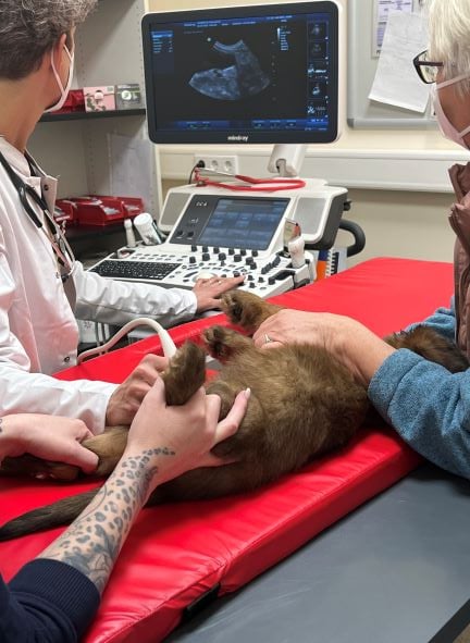 Tierklinik im Tierzentrum