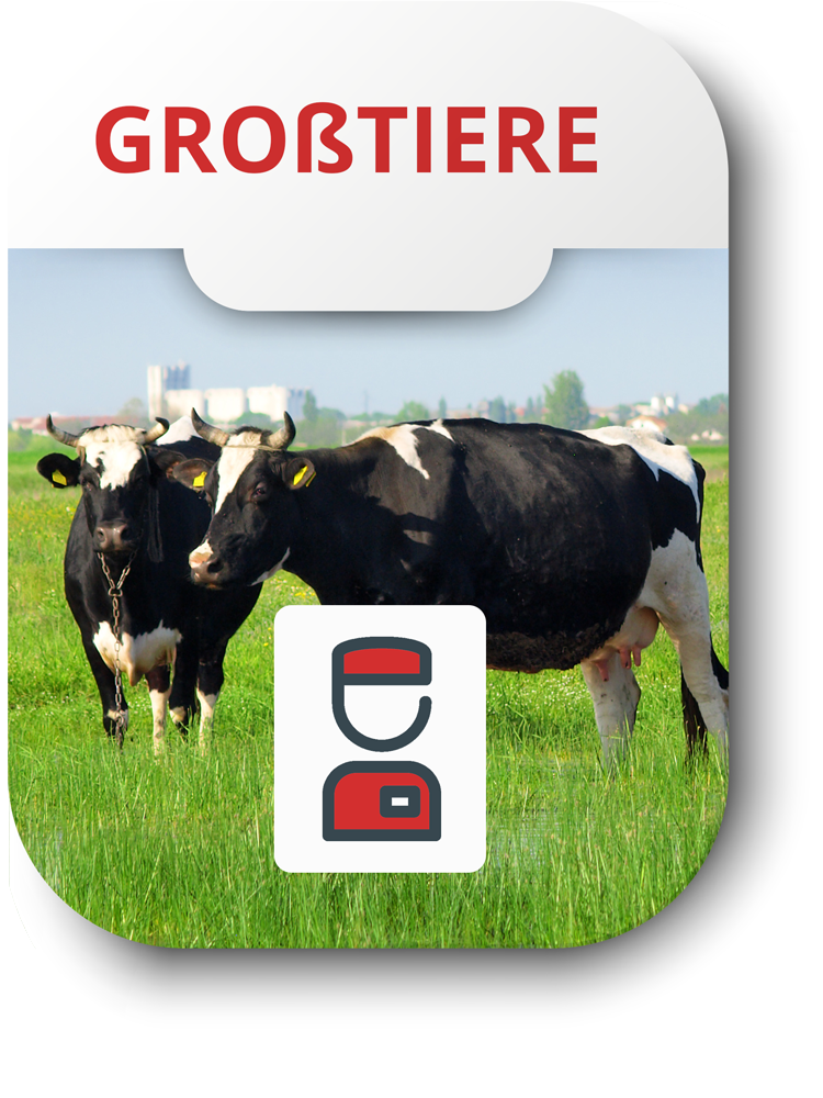 Dr.med.vet. Herbert Großmann Tierarzt