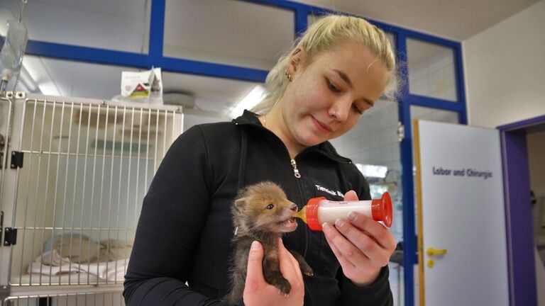 Tierklinik Blaichach