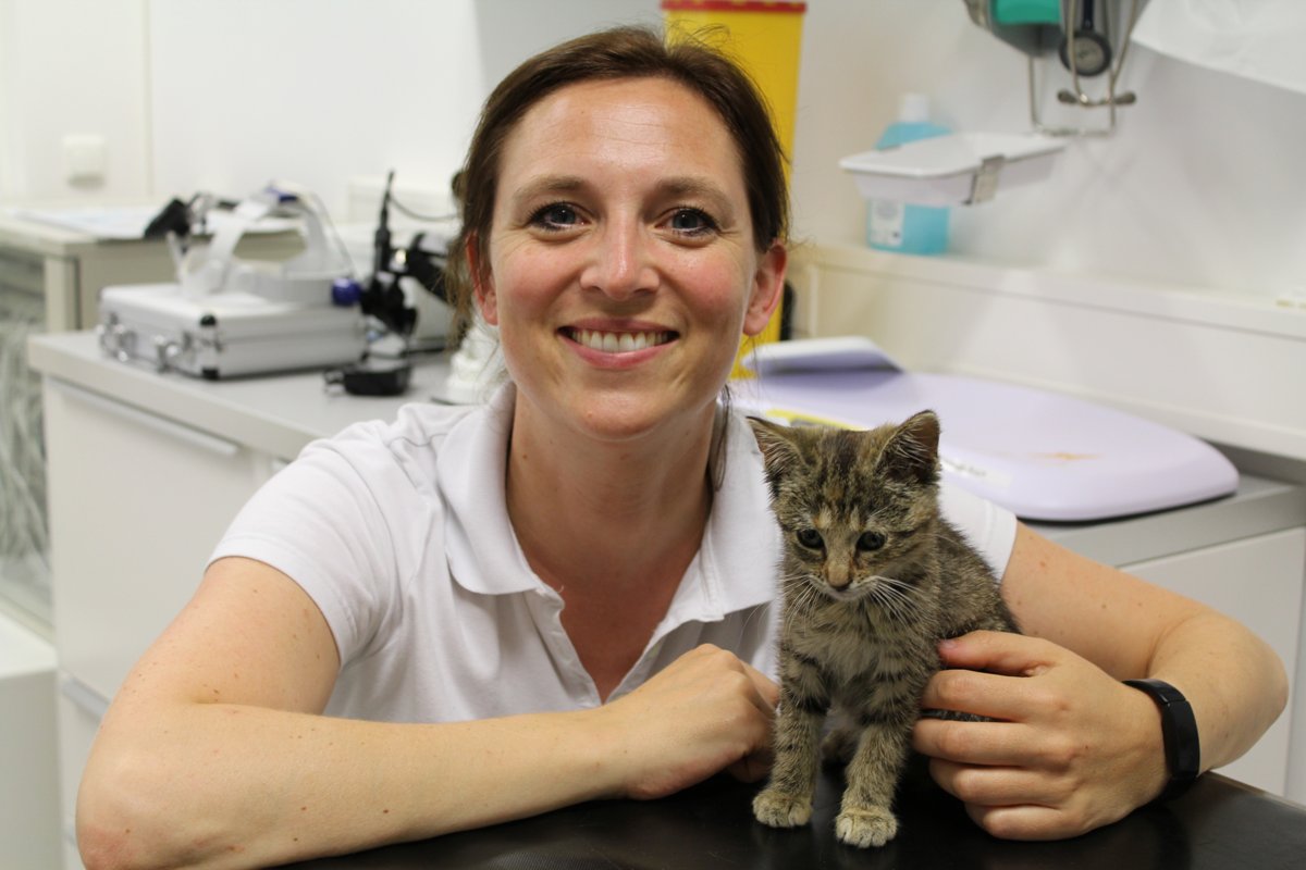 Tierklinik Dr.Himstedt & Dr. Lewan