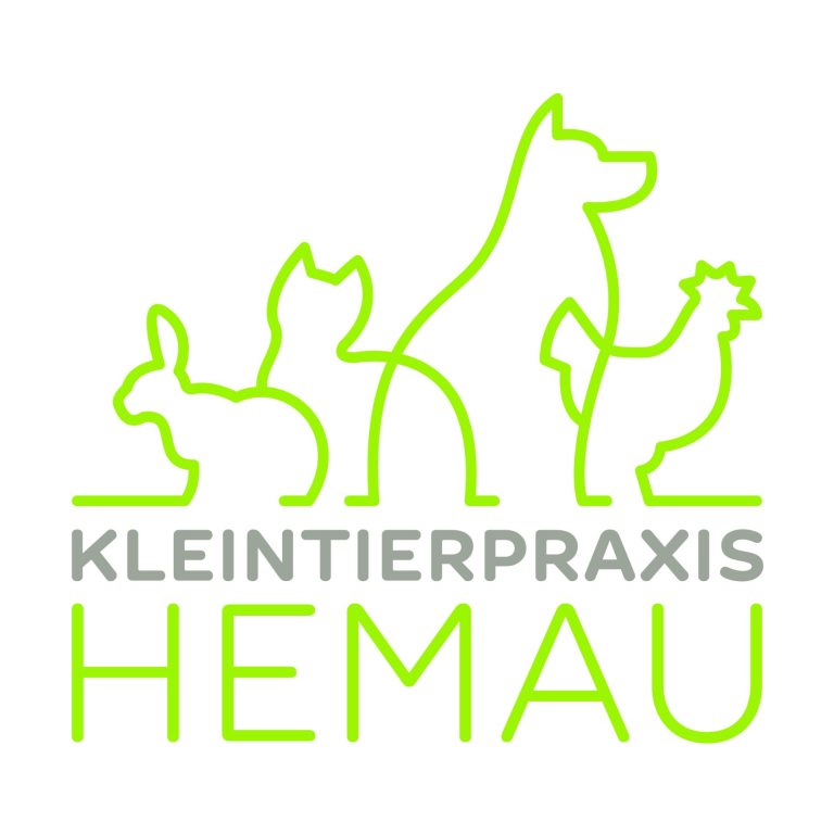 Kleintierpraxis Dr. Judith Spitzer - mobile Tierärztin