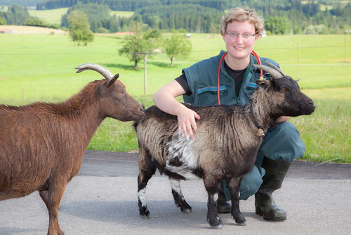 Tierarzt Bräuningshof, Die Tierischen - Zentrum für Tiergesundheit