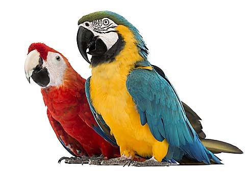 Tierarztpraxis Dr. med. vet. Kai Uwe Manneck