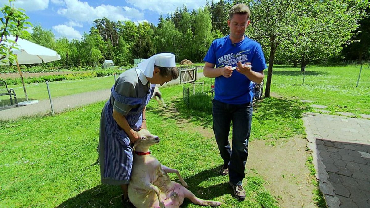 Björn Krawehl Praktischer Tierarzt