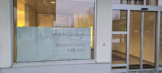 Dipl.Med.Vet. Karim Traore Tierarzt