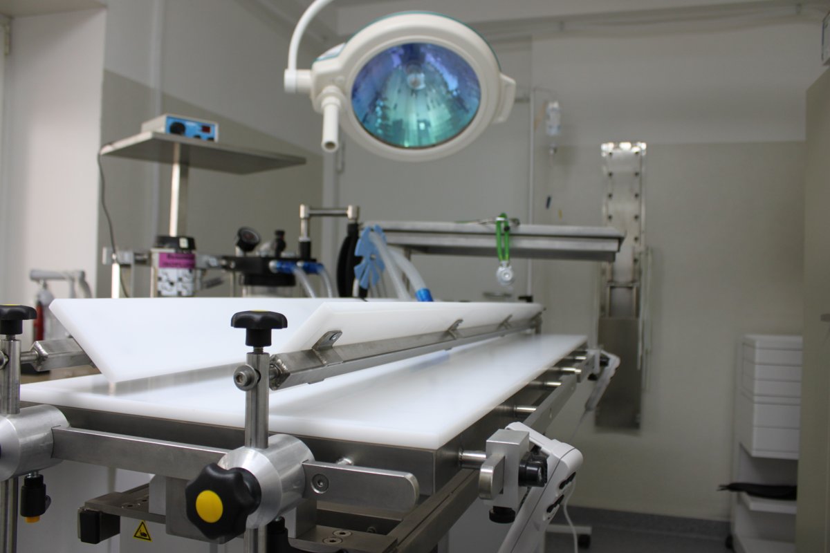Dr.med.vet. Gerhard Schaller Tierarzt