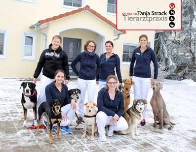 Dr. med. vet. Tanja Strack