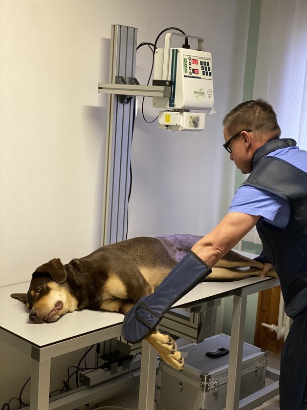 Tierarzt Pfaffenhofen | Dr. med. vet. Patrick Soffner