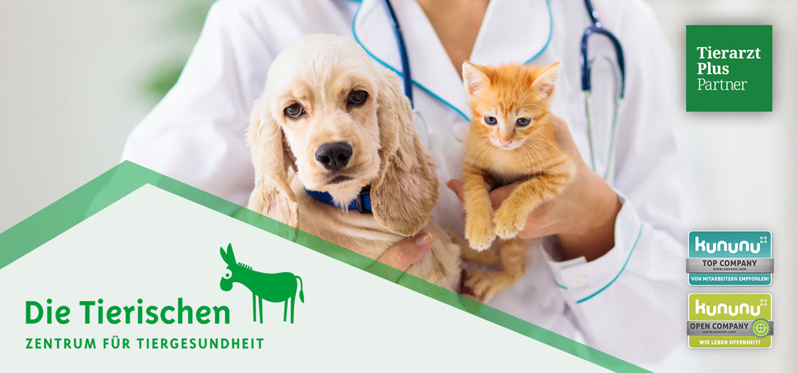 Tierarzt Bräuningshof, Die Tierischen - Zentrum für Tiergesundheit