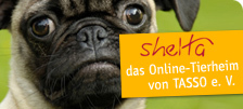 Tierarztpraxis am Eichenwald Tautenhahn & Thume