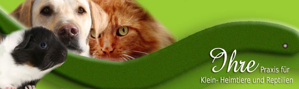 Tierarztpraxis für Kleintiere und Reptilien