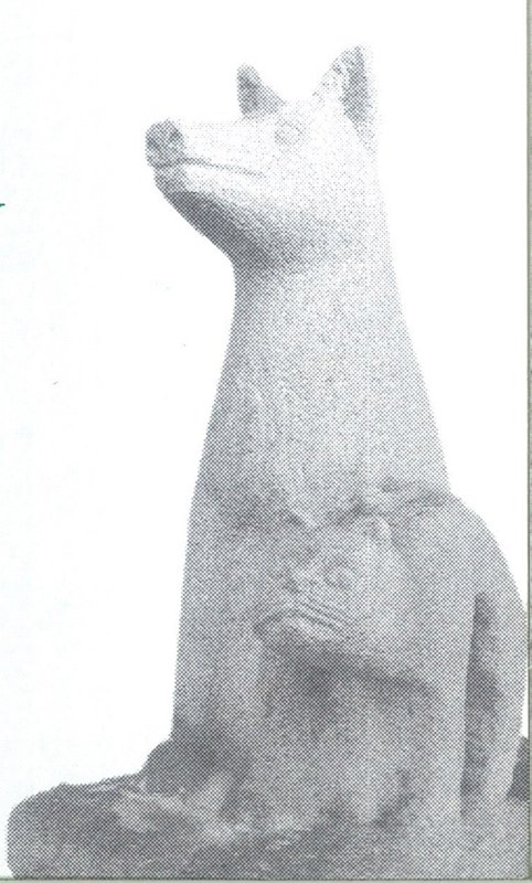 Dr. med. vet. Ursula Heim, Tierärztin