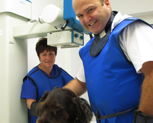 Kleintierpraxis Bad Rodach - Tierarzt Dr. med. vet. Peter Schunk