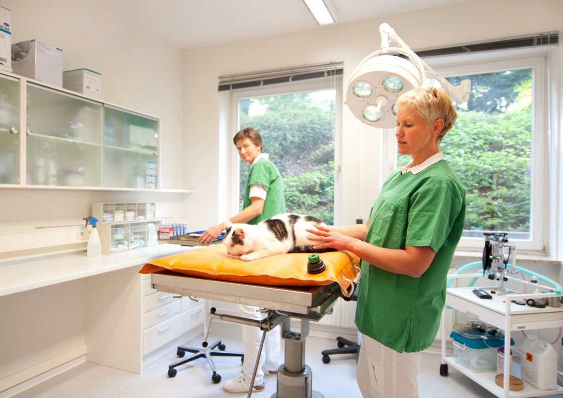 Dr.med.vet. Bettina Strahlhuber & Dr.med.vet. Birgitta Strobl Tierärztin