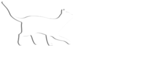 Tierarztpraxis Schwarz