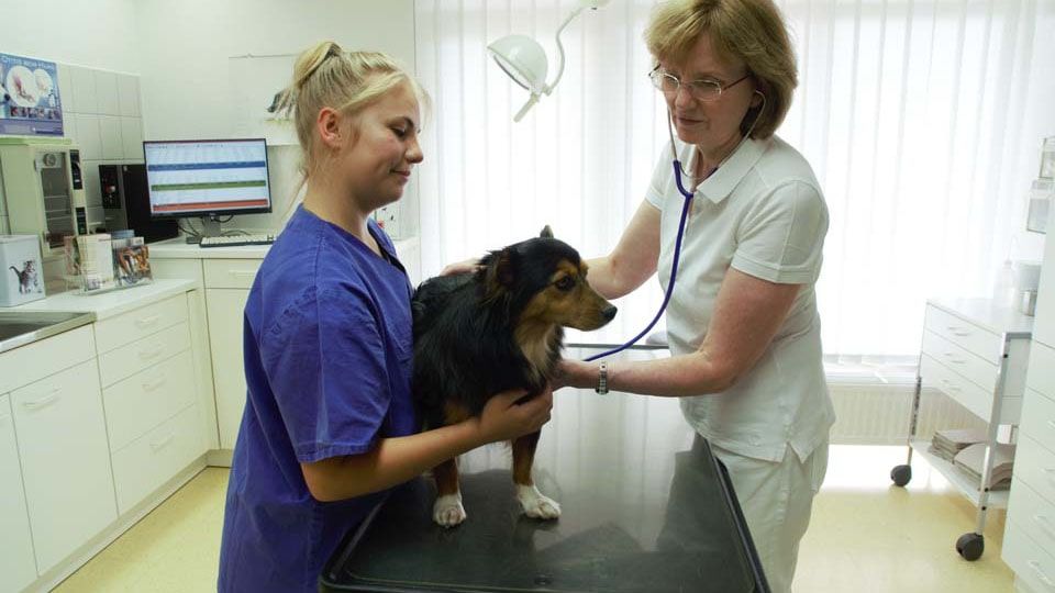Dr.med.vet. Helga Sieslack Tierärztin