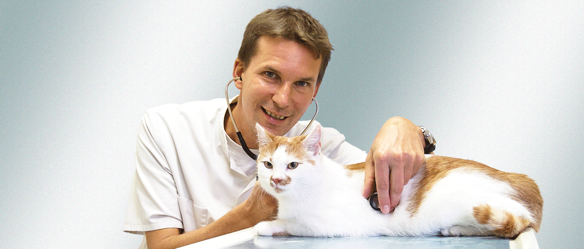 Tierärztliche Praxis Hof Dr. Engelbrecht