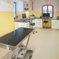 Tierarztpraxis Kellerberg Steingaden, Dres. M. & H. Krefft