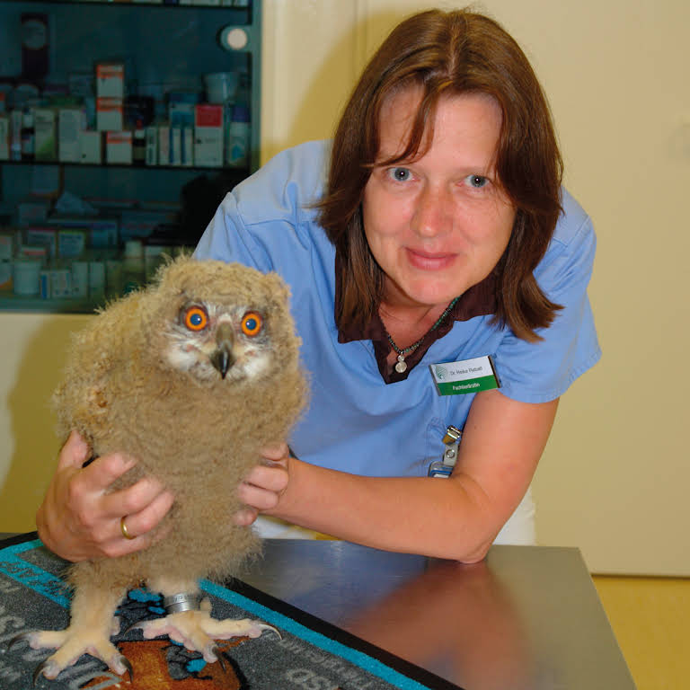 Tierärztliche Fachpraxis für Vögel & Exoten Dr. med. vet. Heike Reball