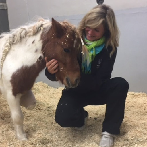 Kleintierpraxis dr. vet. Susanne Mitro