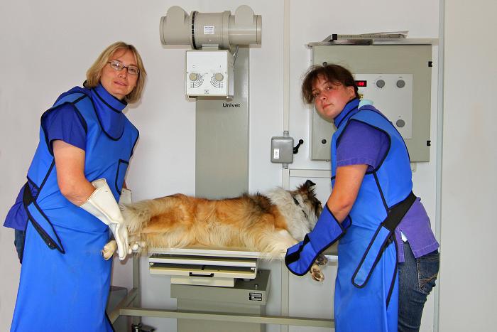 Tierarztpraxis Dr. med. vet. Martina Heilmann-Schwarz