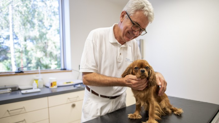 Tierklinik Oberhaching