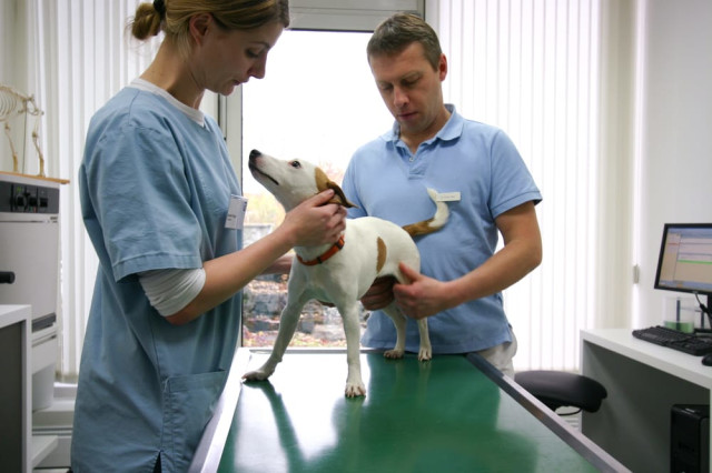 Tierklinik Ismaning