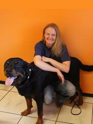 Dr.med.vet. Sabine Sinowatz Tierärztin