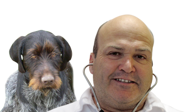 Kleintierpraxis Bad Rodach - Tierarzt Dr. med. vet. Peter Schunk