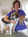 Tierarztpraxis - Dr Susanne Gabler-Kau